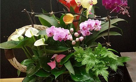 花语