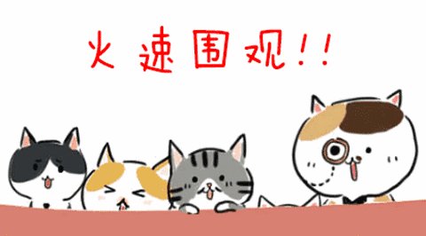坚持创造成功的火花