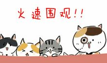 坚持擦出成功的火花