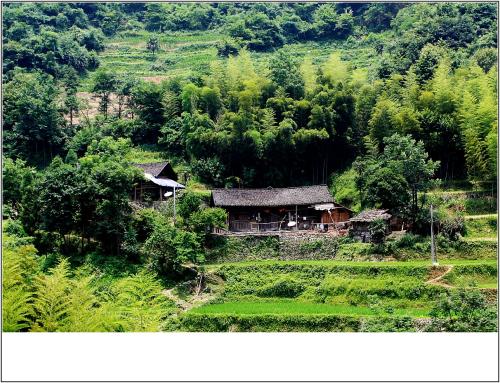 深山里