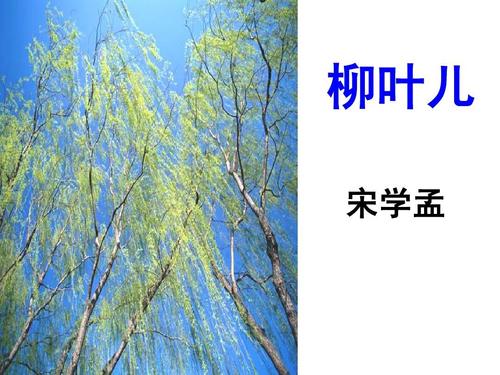 柳叶