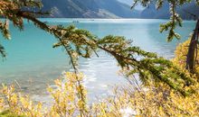 那抹亮丽的风景