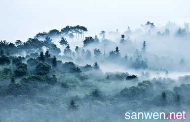Fog_400字