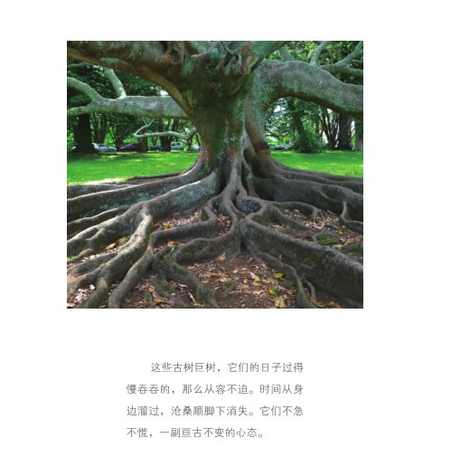 被我感动