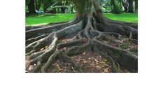 我身边的点滴感动