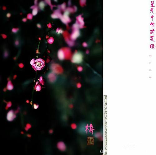 那春风