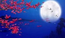 悲伤的心情随风而来