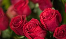 考试的“辣苦甜”