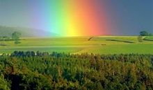 渴望得到一缕彩虹