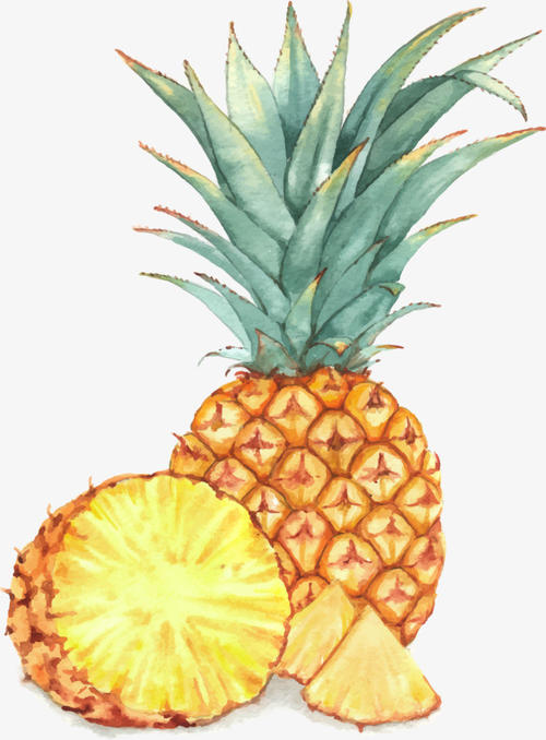 菠萝
