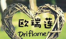 给梦想一次开花的机会