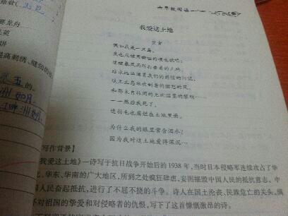 如果我是鸟