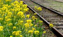 走曲折路体会生活美