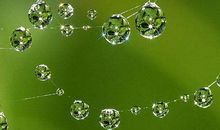 细微之处见真情