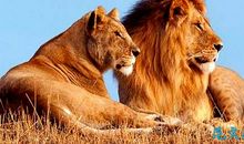 读《霍金传》有感