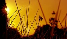 有那样一抹色彩