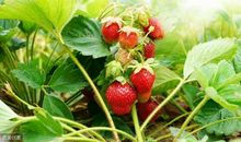 被信任的感觉真好