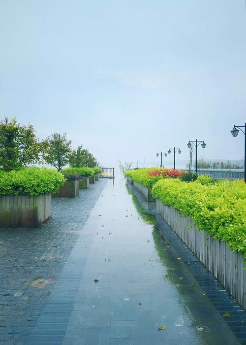 在雨中走