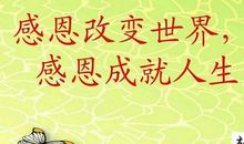 感恩老师_1000字