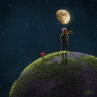 我是明星
