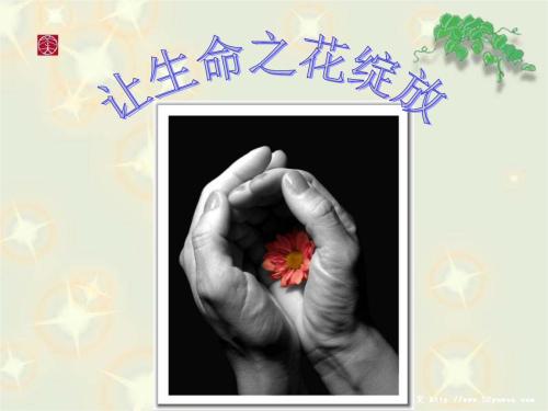 让生命之花轻轻绽放
