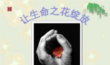 让生命之花温柔绽放