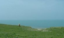 远游无处不销魂