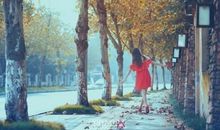 梧桐树下的等待