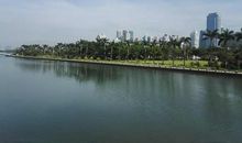 美丽的白鹭洲公园