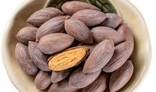 游枫桥记——香榧