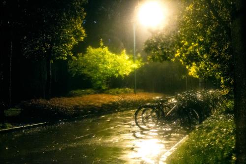 夜雨