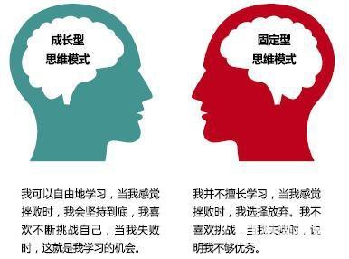 什么是成长