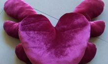 带着真诚的心飞翔