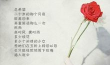 席慕蓉和我的对话