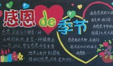 渐渐我学会感激