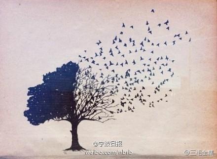 如果世界上没有树木