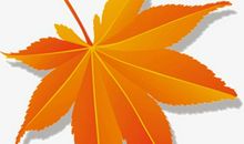 落叶眼中的秋天