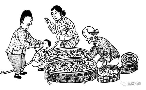 小鸡过去_1200字