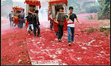 身边的民俗——年例