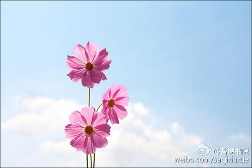 让生活再次绽放