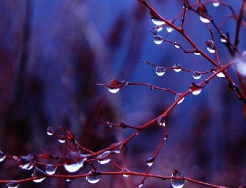 如果我下小雨