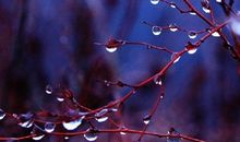 假如我是小雨点