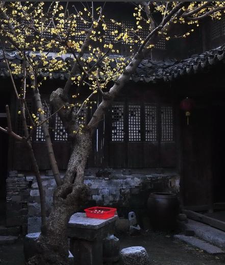 纳祖老屋
