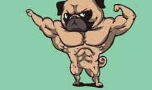 有你陪伴的日子