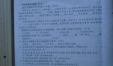 2011玉林中考语文试题（含答案）