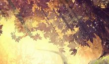 我生活在阳光下