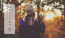 做人就要说真话