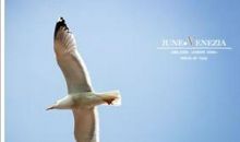 为了梦想，展翅飞翔