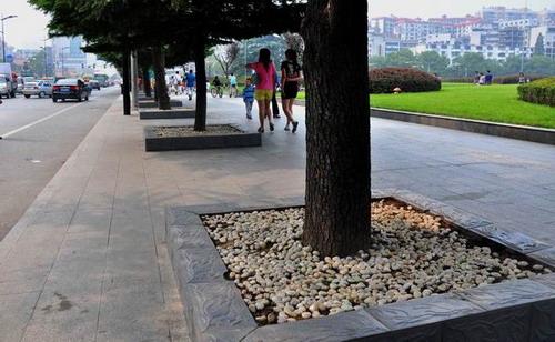 街树，我想告诉你