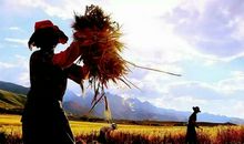 十六岁多了一份执著